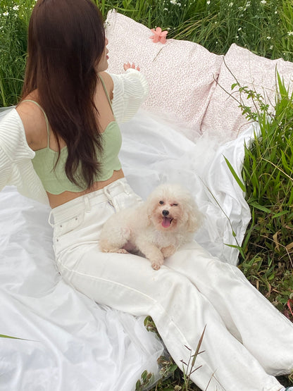 Candied Daisy Pillowcase