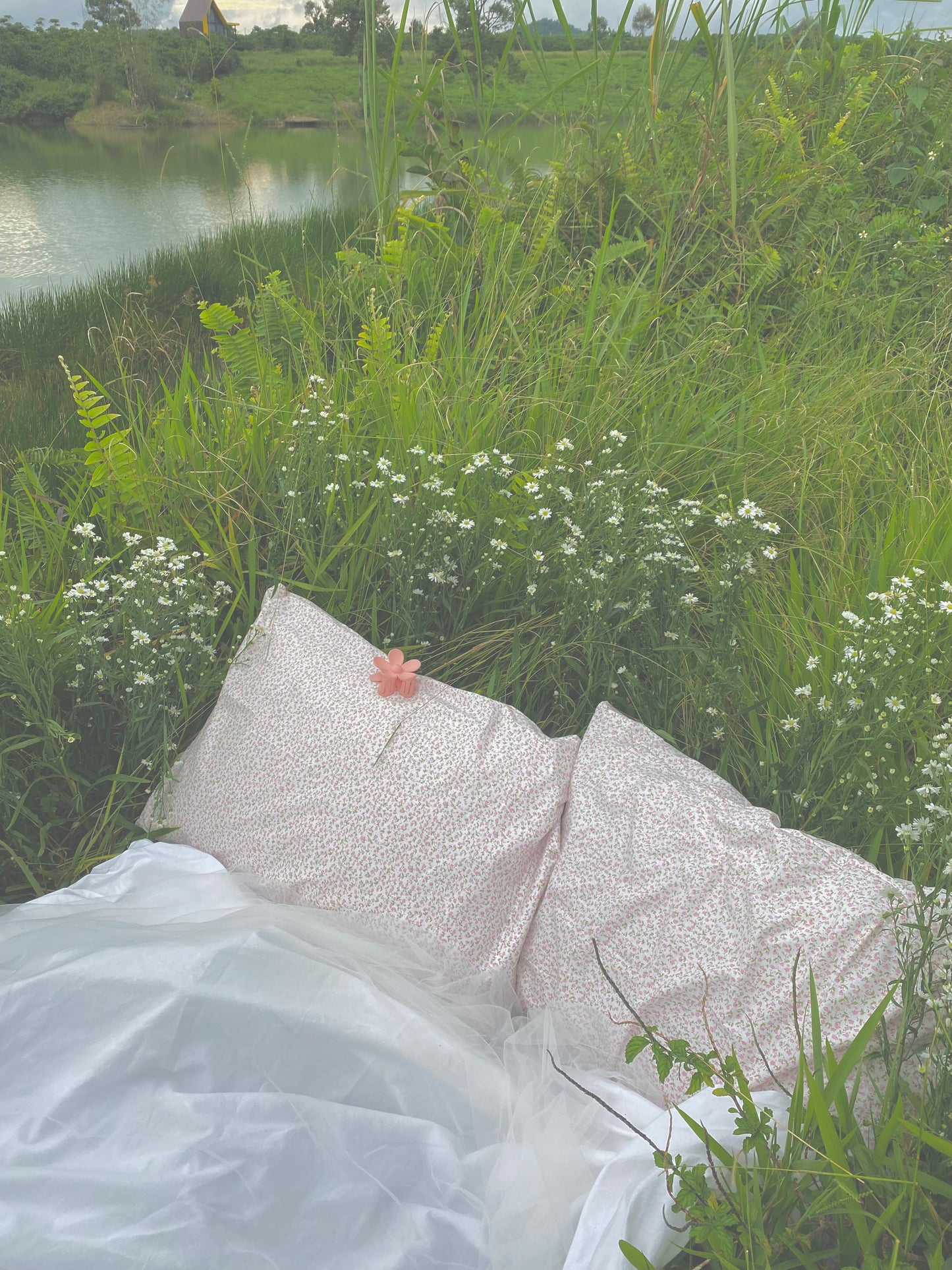 Candied Daisy Pillowcase